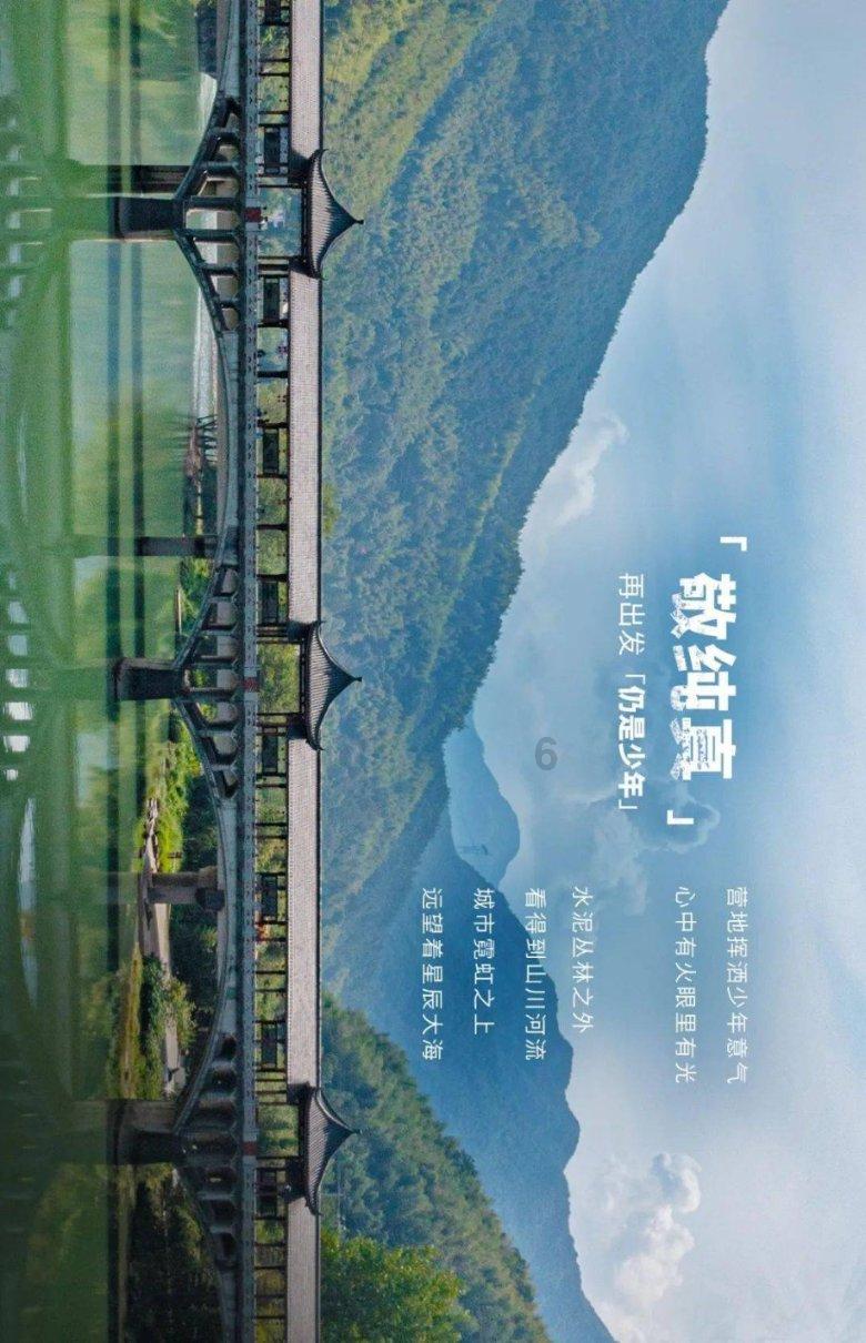 狗狗物品记忆卡